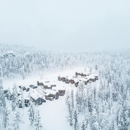 North Frost 20b By Hilla * Леви