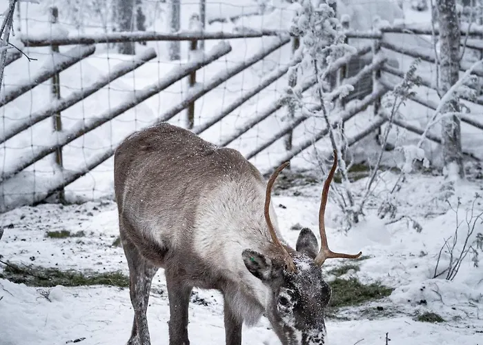 דירה North Frost 20b By Hilla Kittilä